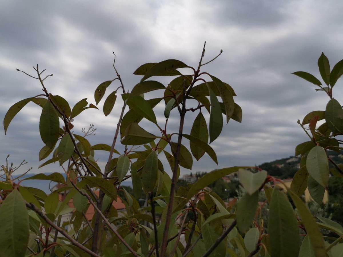 Appartamento Pobri Matulji Esterno foto